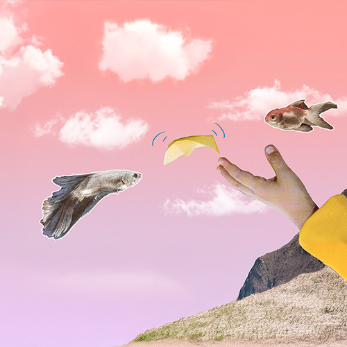 Collage, inspiriert von einem rot-leuchtenden Sonnenuntergang, angereichert mit fliegenden Fischen